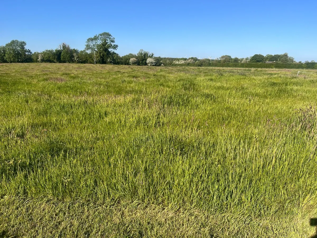 Meadow for Sale in Offaly - Image 1