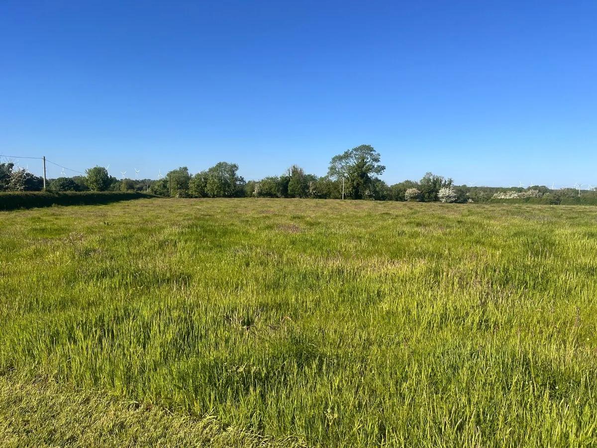 Meadow for Sale in Offaly - Image 2