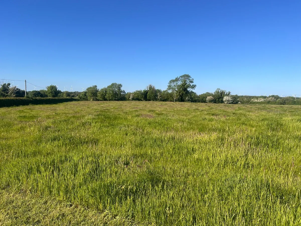 Meadow for Sale in Offaly - Image 3