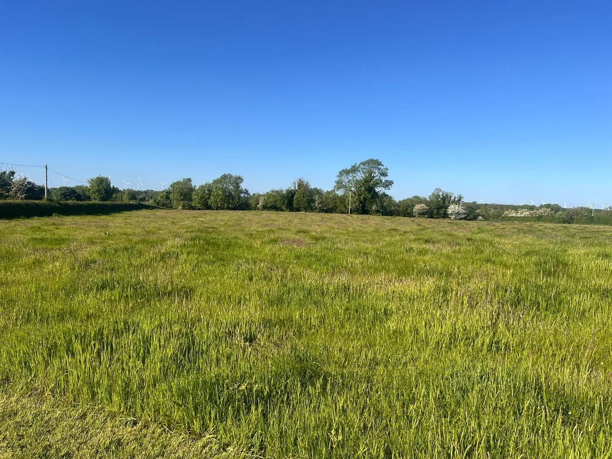Meadow for Sale in Offaly - Image 4