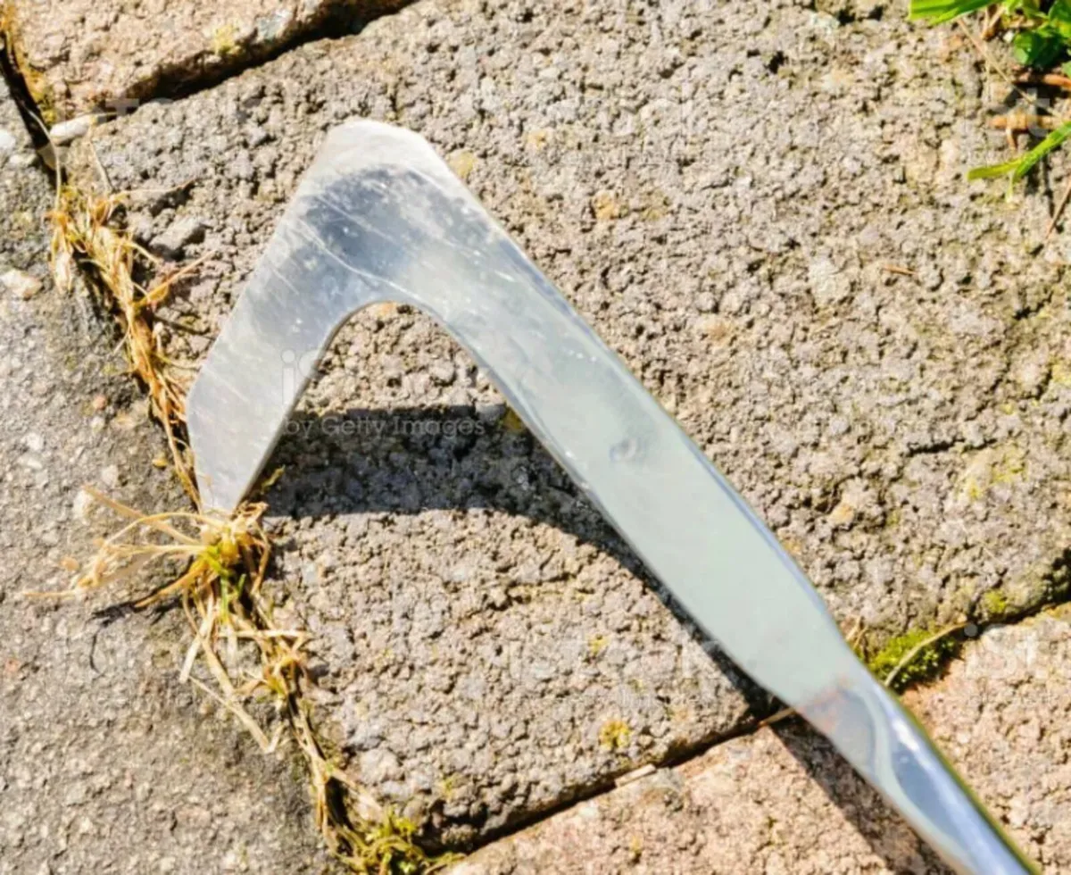 Extendable Telescopic Patio Weed Remover Scraper - Image 3