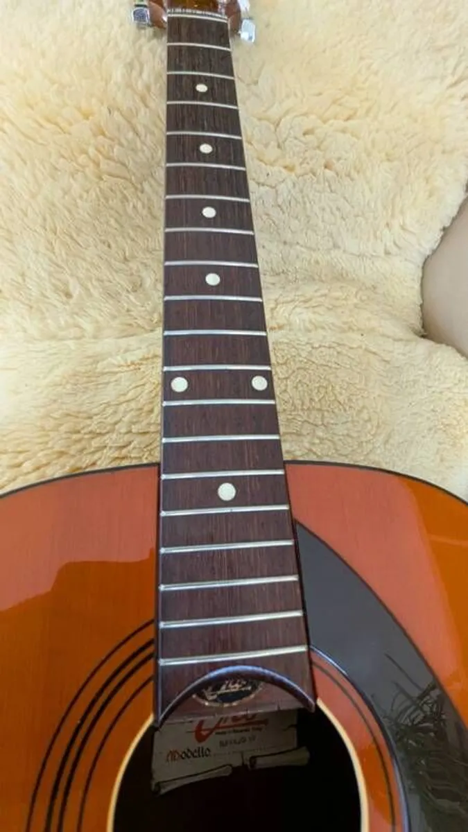 Vintage 1960s EKO Navajo 12 String guitar - Image 4