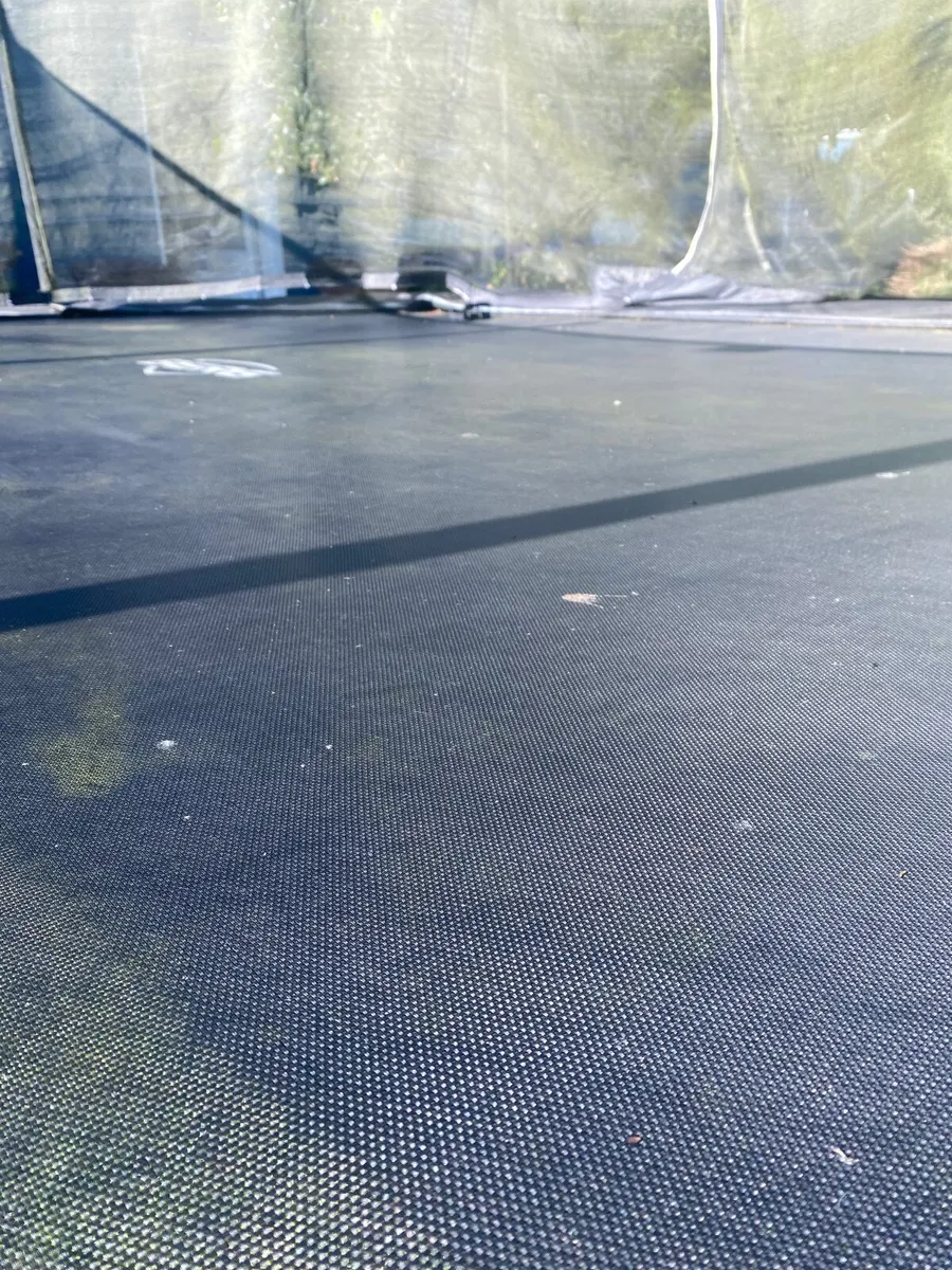 Trampoline - Image 3