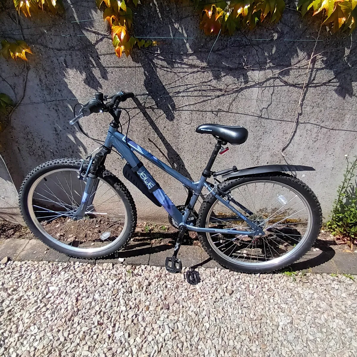 Mountain Bike - Image 1
