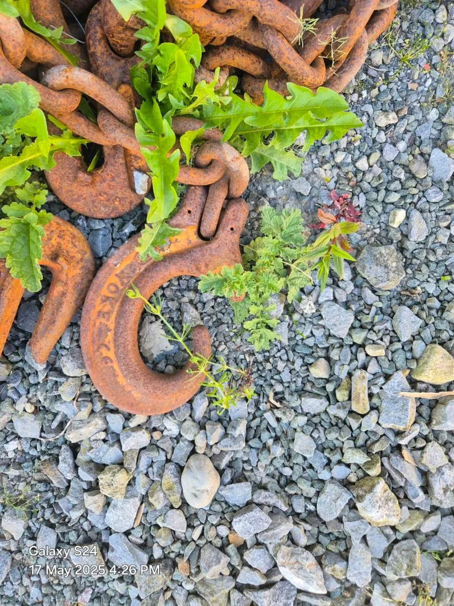 Heavy duty lifting chains - Image 4