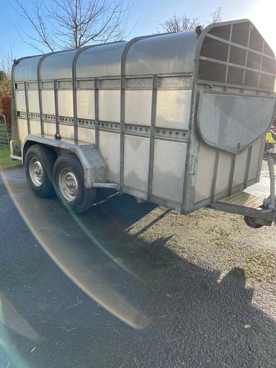 Cattle Trailer - Image 1