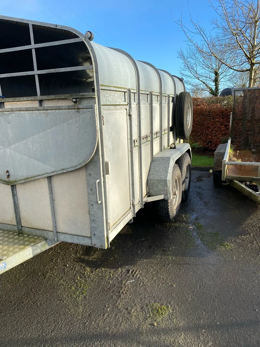 Cattle Trailer - Image 2