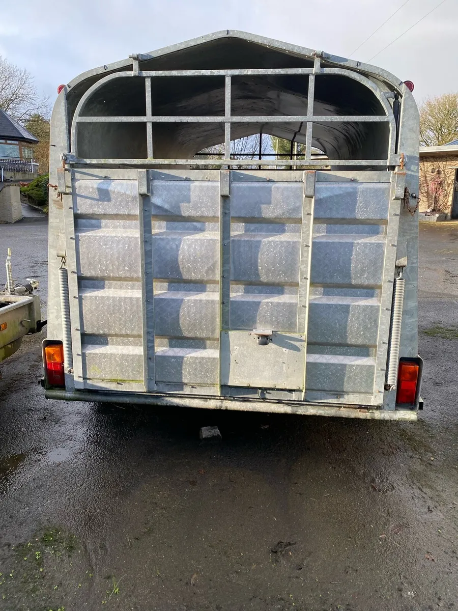 Cattle Trailer - Image 4