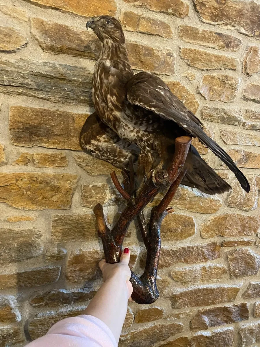 Artificial Eagle bird - Image 1