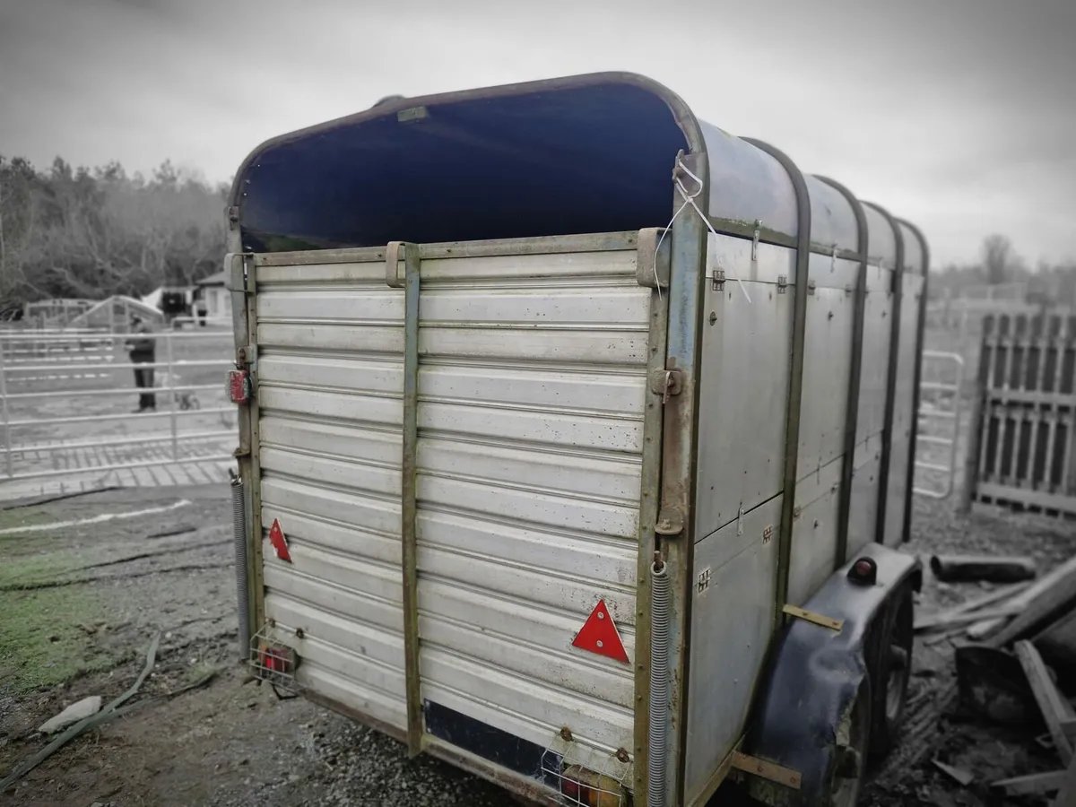 Cattle Trailer - Image 2
