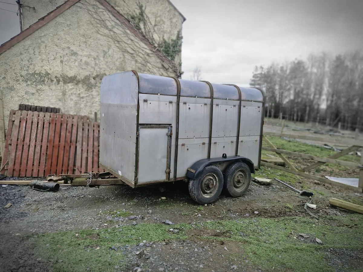 Cattle Trailer - Image 3