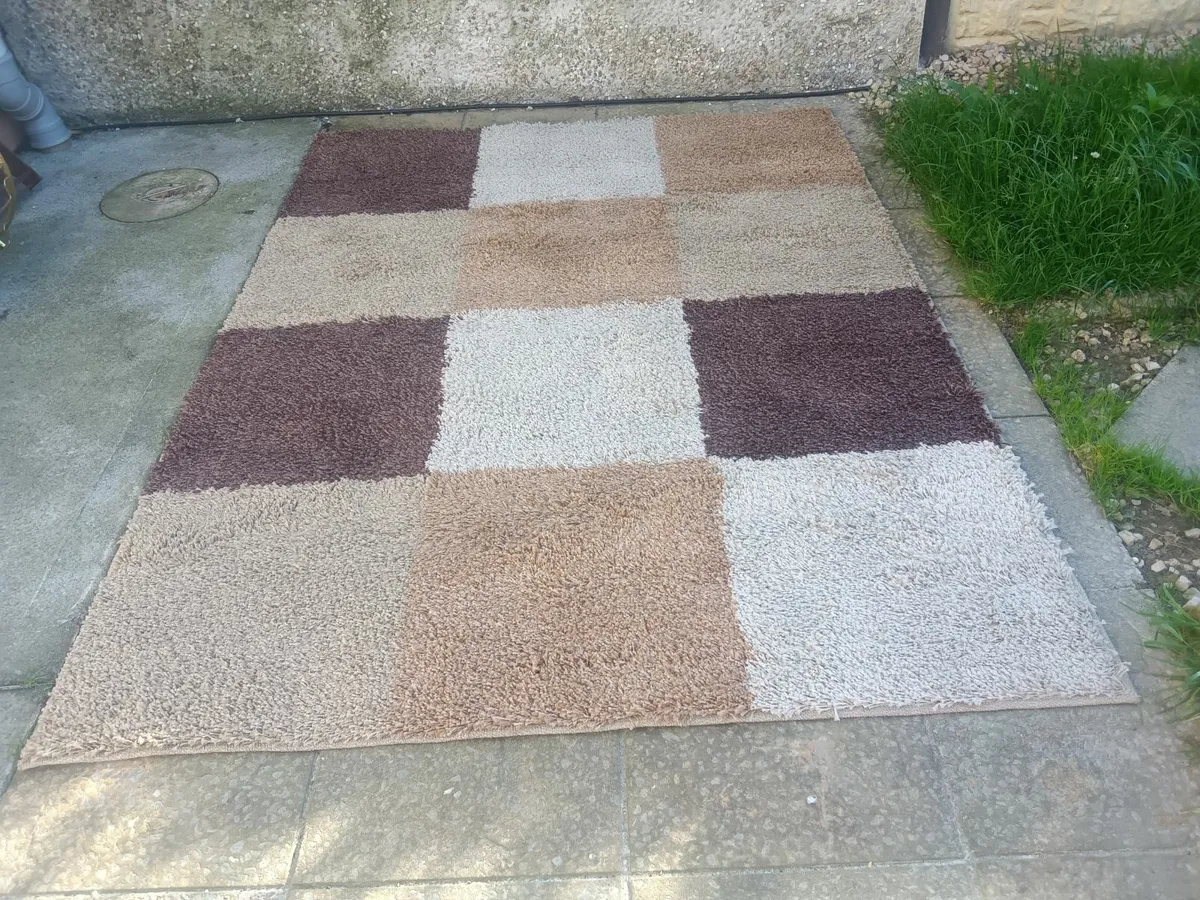 Large Living room rug - Image 4