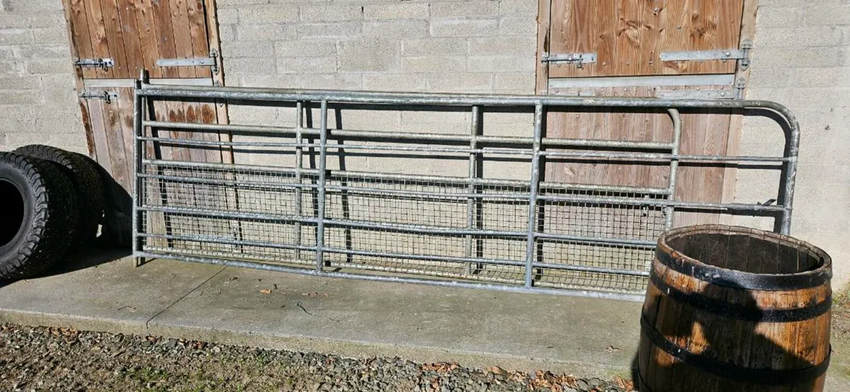 Galvanised Farm Gates - Image 2