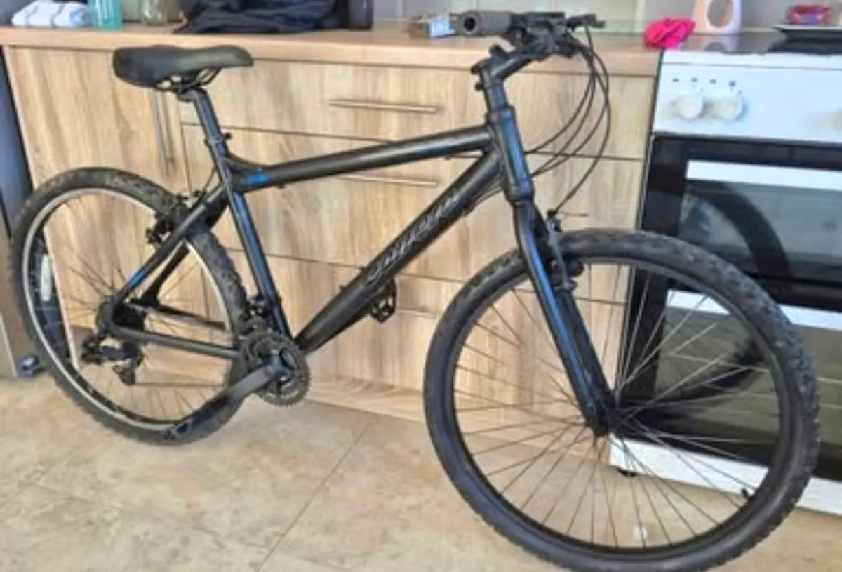 Adult Carrera  Axle hybrid bicycle
21 speed shiman - Image 1