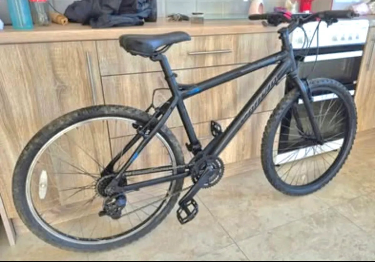 Adult Carrera  Axle hybrid bicycle
21 speed shiman - Image 2