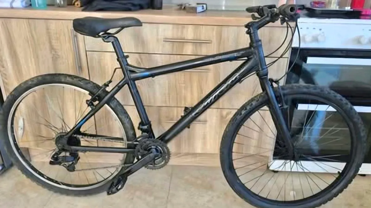 Adult Carrera  Axle hybrid bicycle
21 speed shiman - Image 3