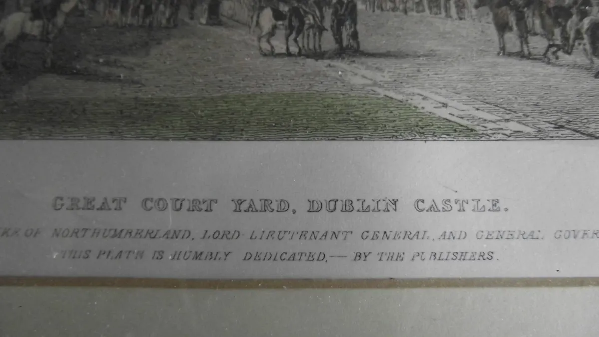 Dublin Castle lithograph - Image 3