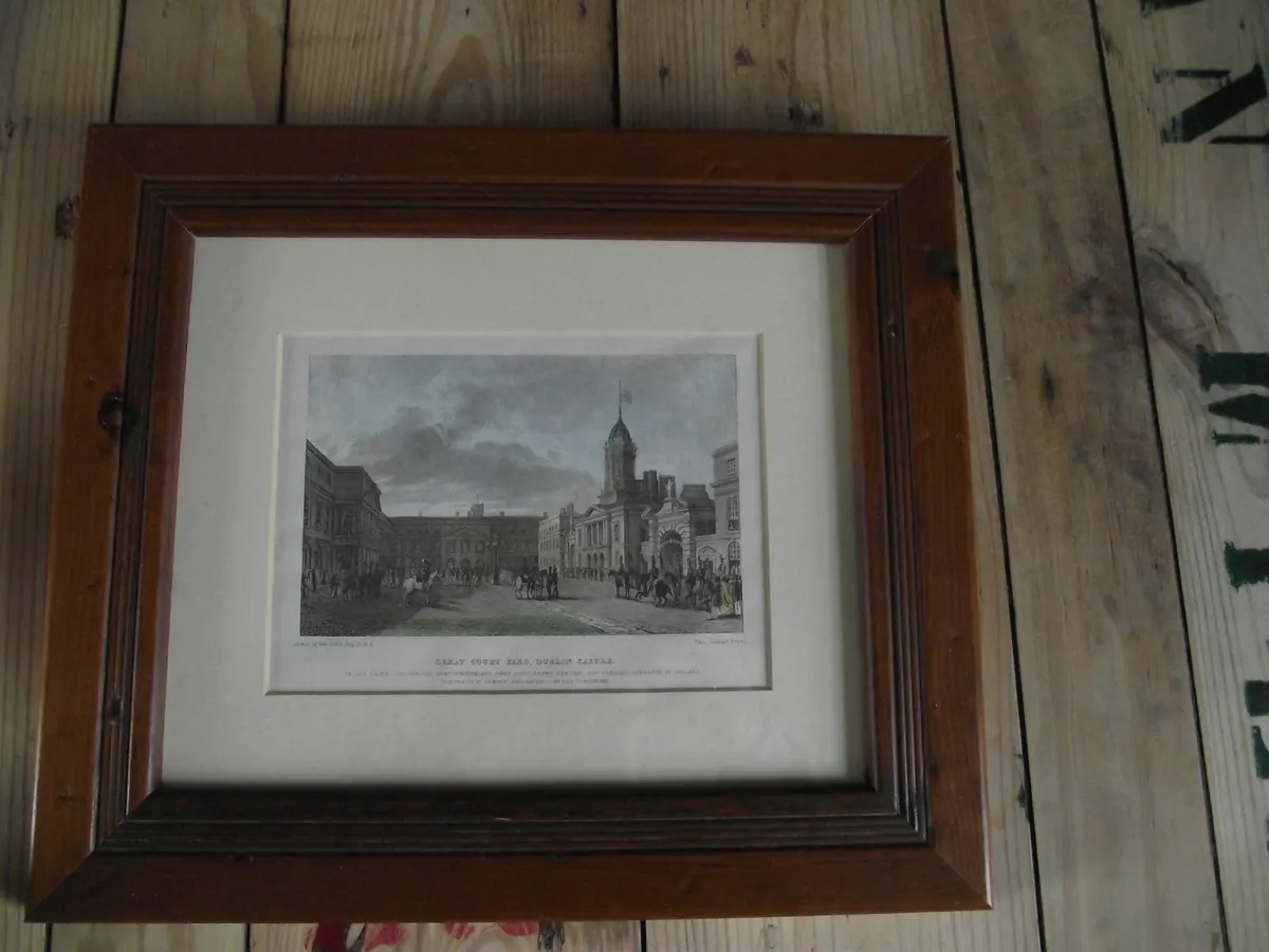 Dublin Castle lithograph - Image 4