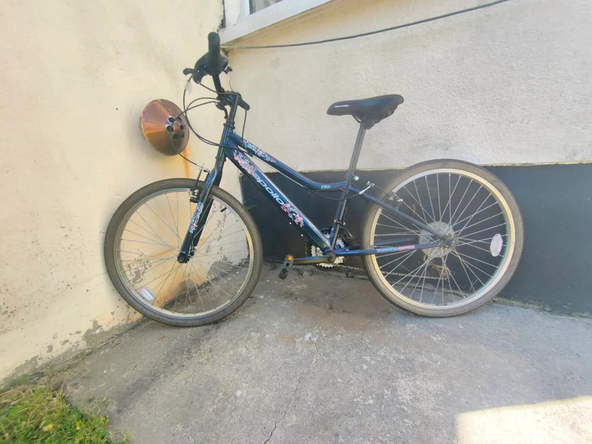 Apollo Kinx Junior Hybrid Bike - Image 4
