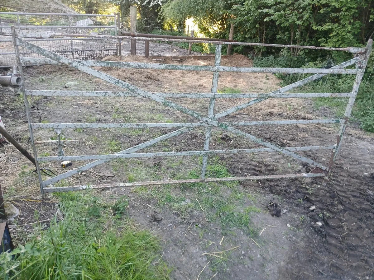 Old gate - Image 1
