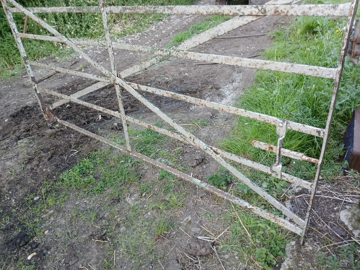 Old gate - Image 2