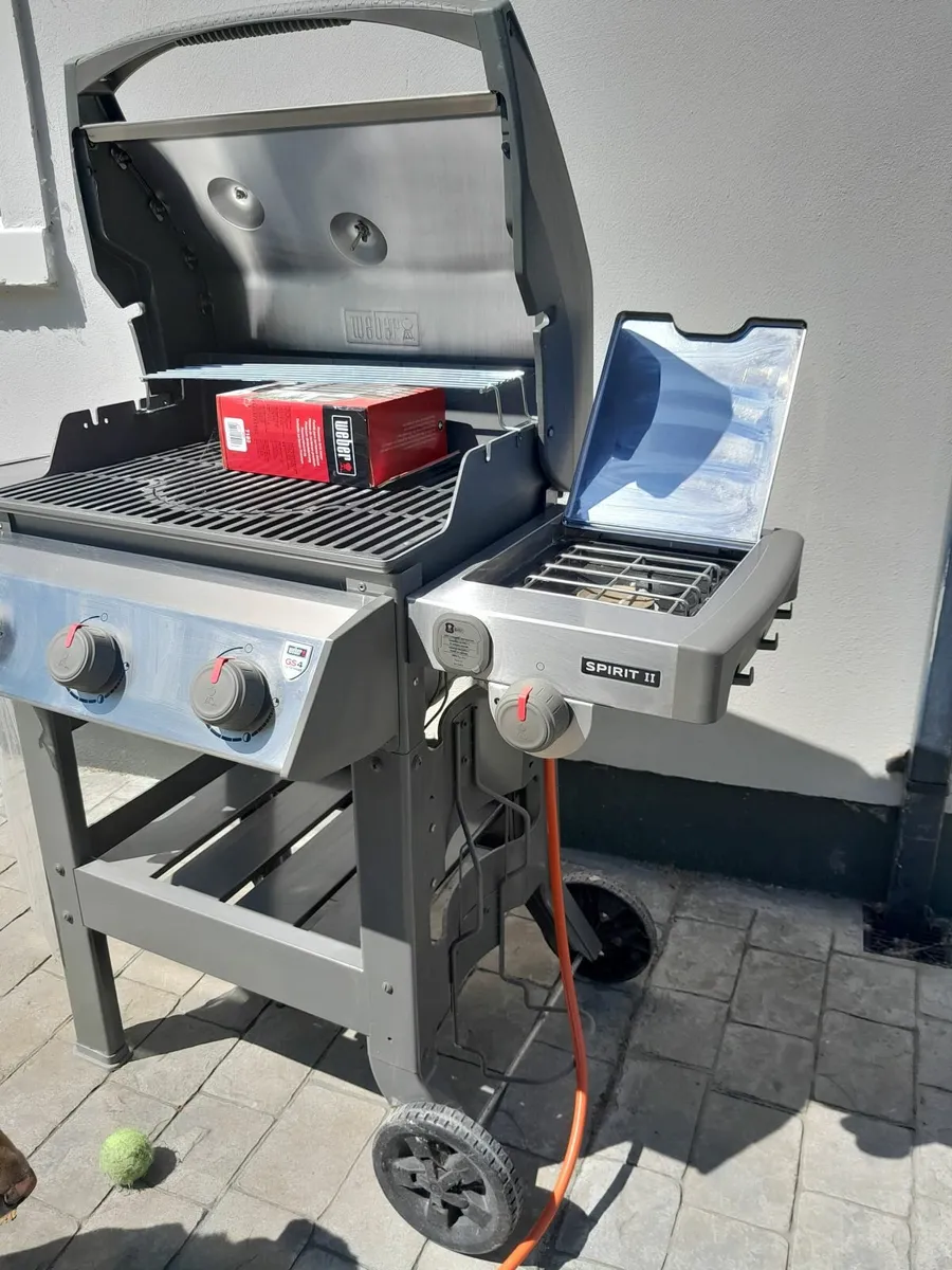 Bbq - Image 2