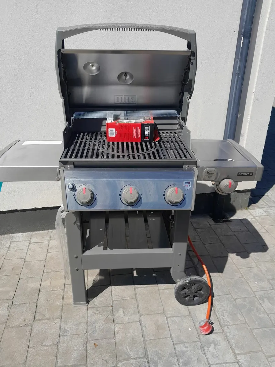 Bbq - Image 4
