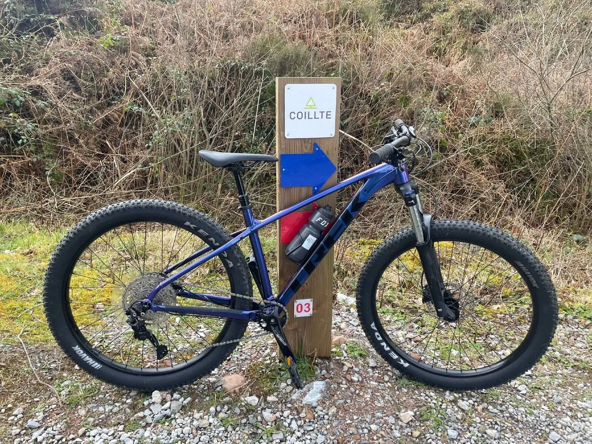 Trek Roscoe 6
