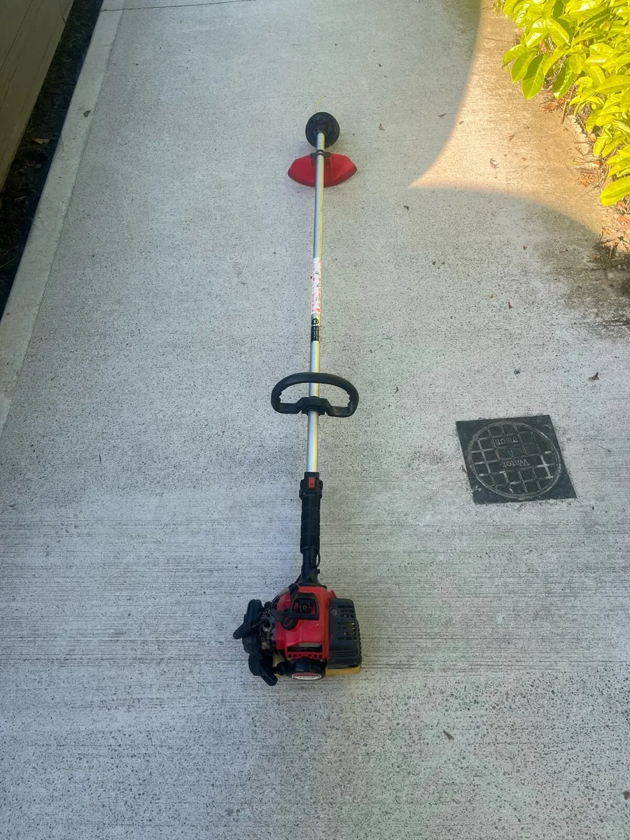 Strimmer - Image 1