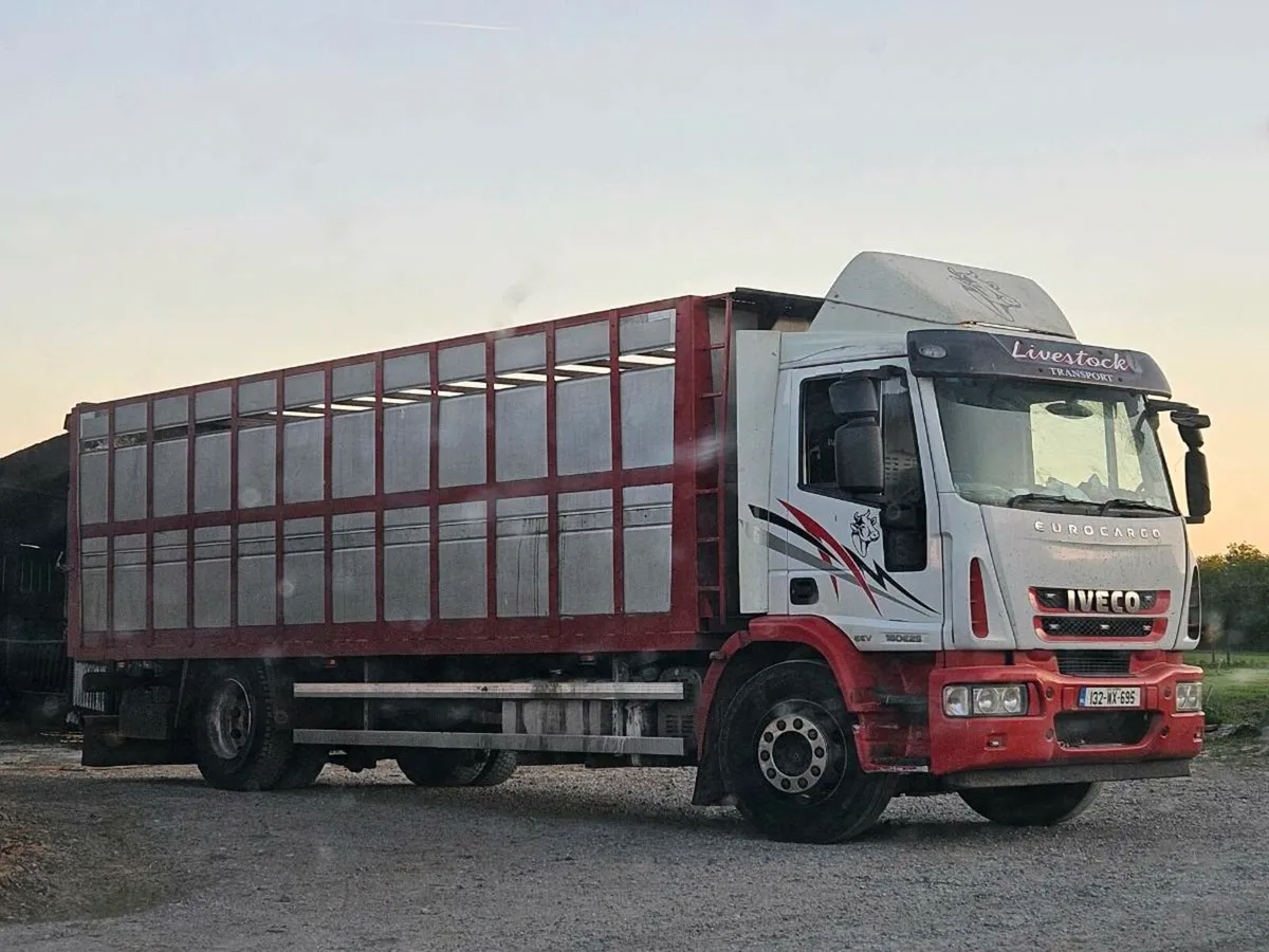 2013 iveco euro cargo cattle truck - Image 1