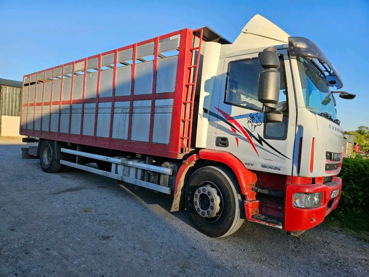 2013 iveco euro cargo cattle truck - Image 2