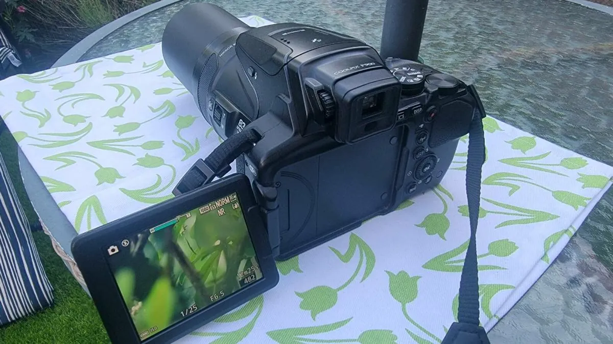 Nikon Coolpix P900 - Image 3