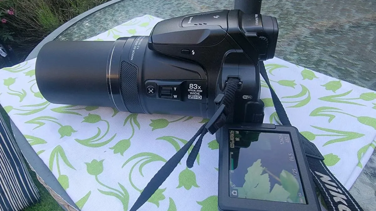 Nikon Coolpix P900 - Image 4