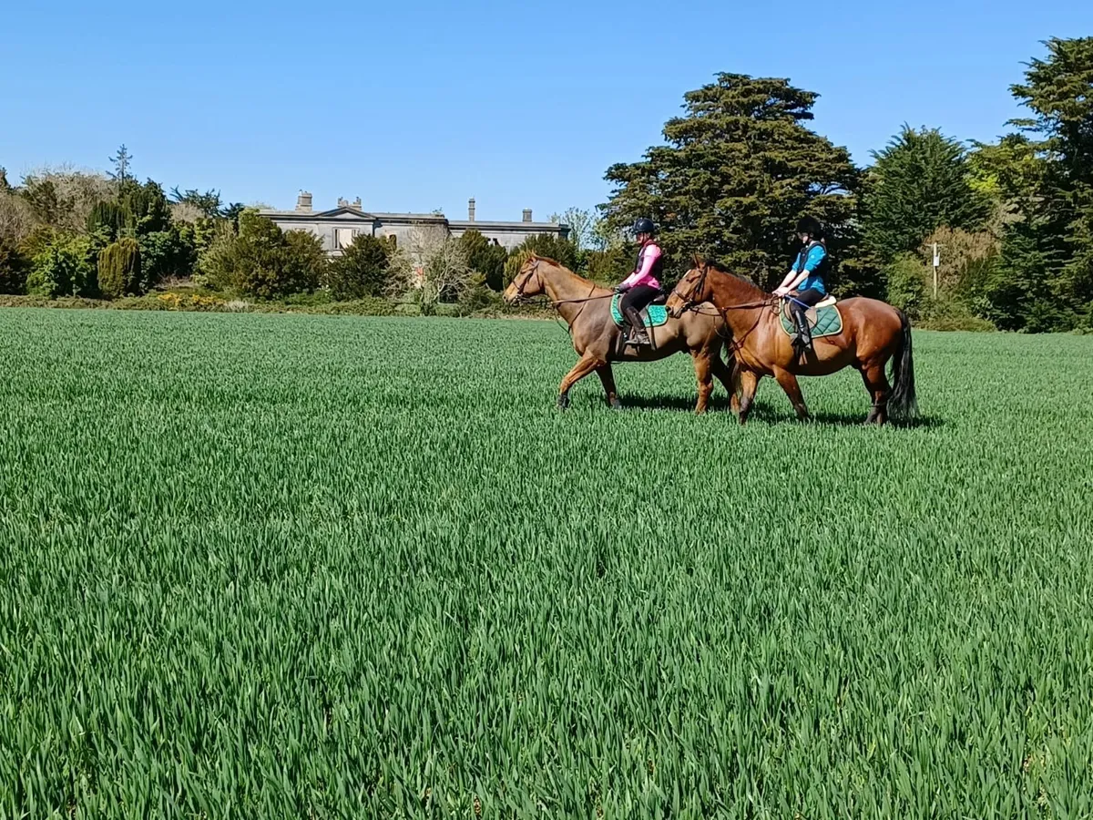 Grass Livery - Image 2