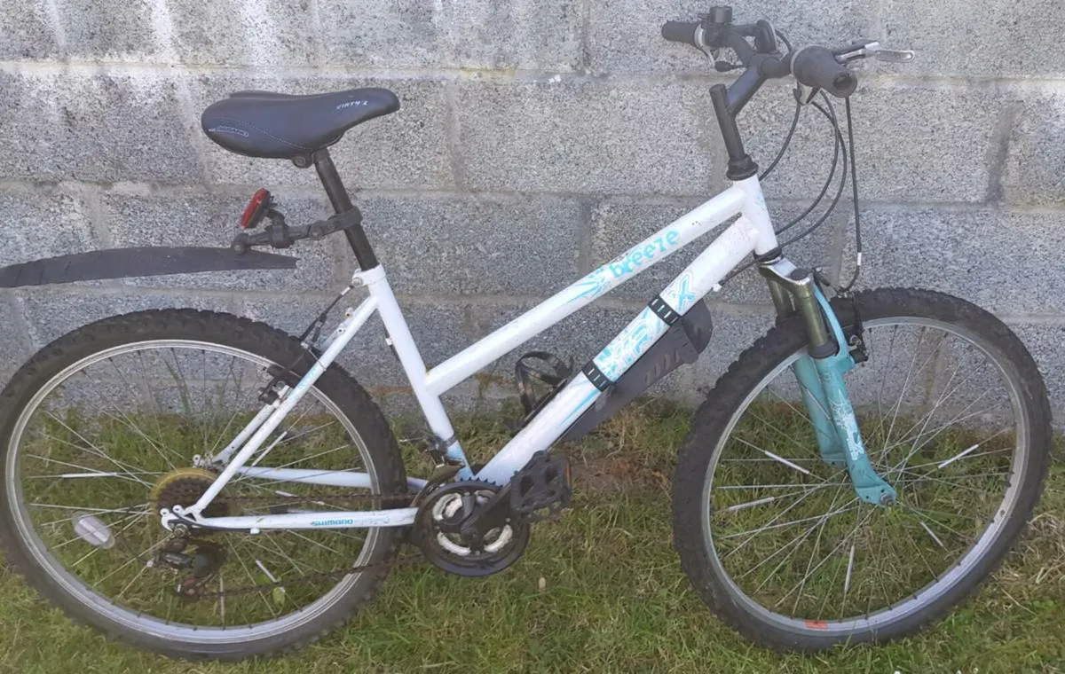 Ladies mountain bike - Image 1
