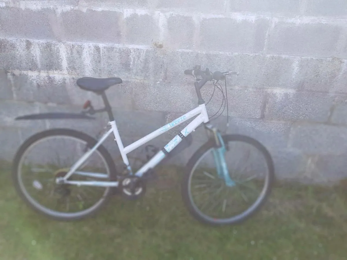Ladies mountain bike - Image 2