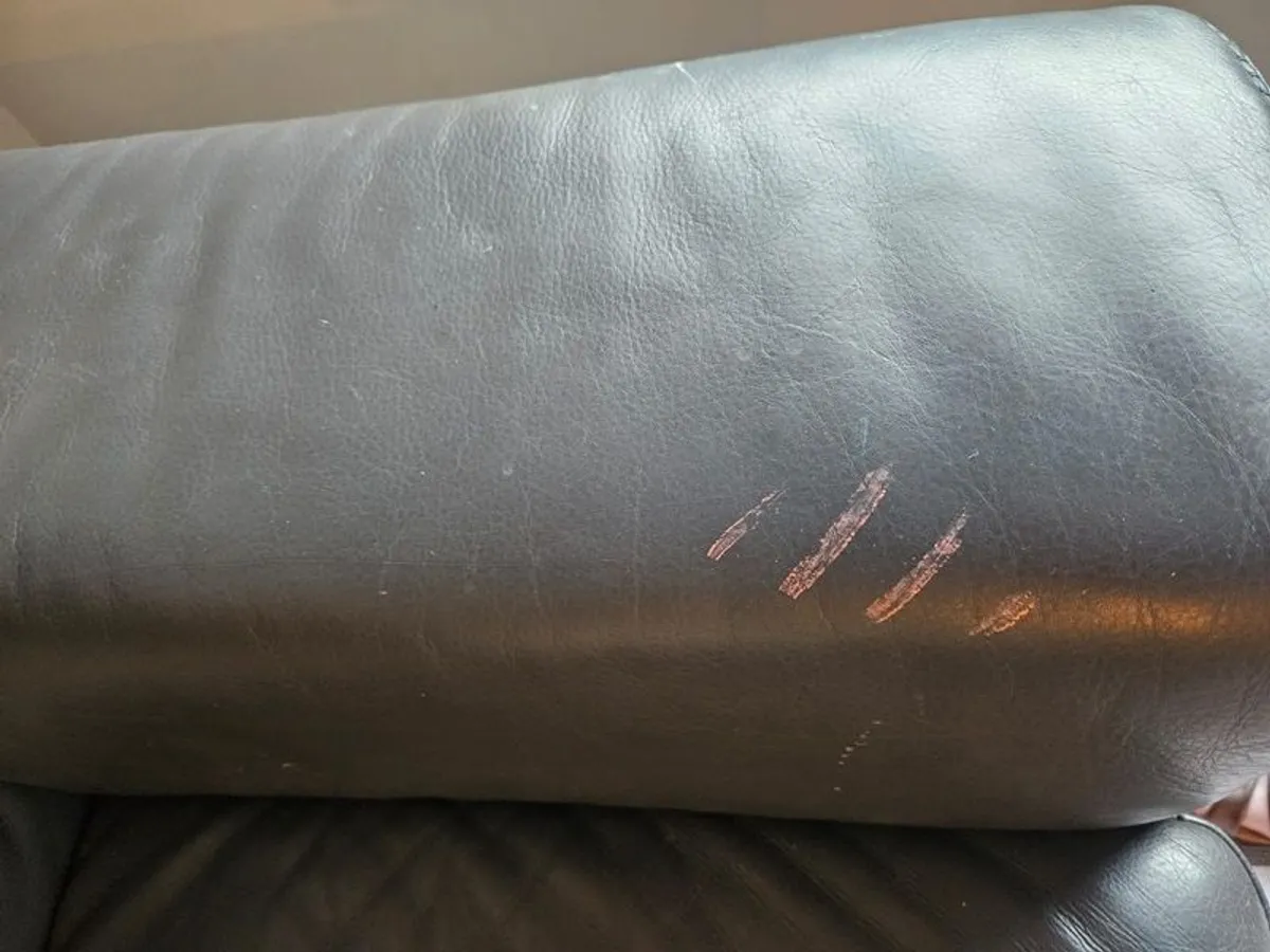 Natuzzi Editions Leather Sofa - Image 4