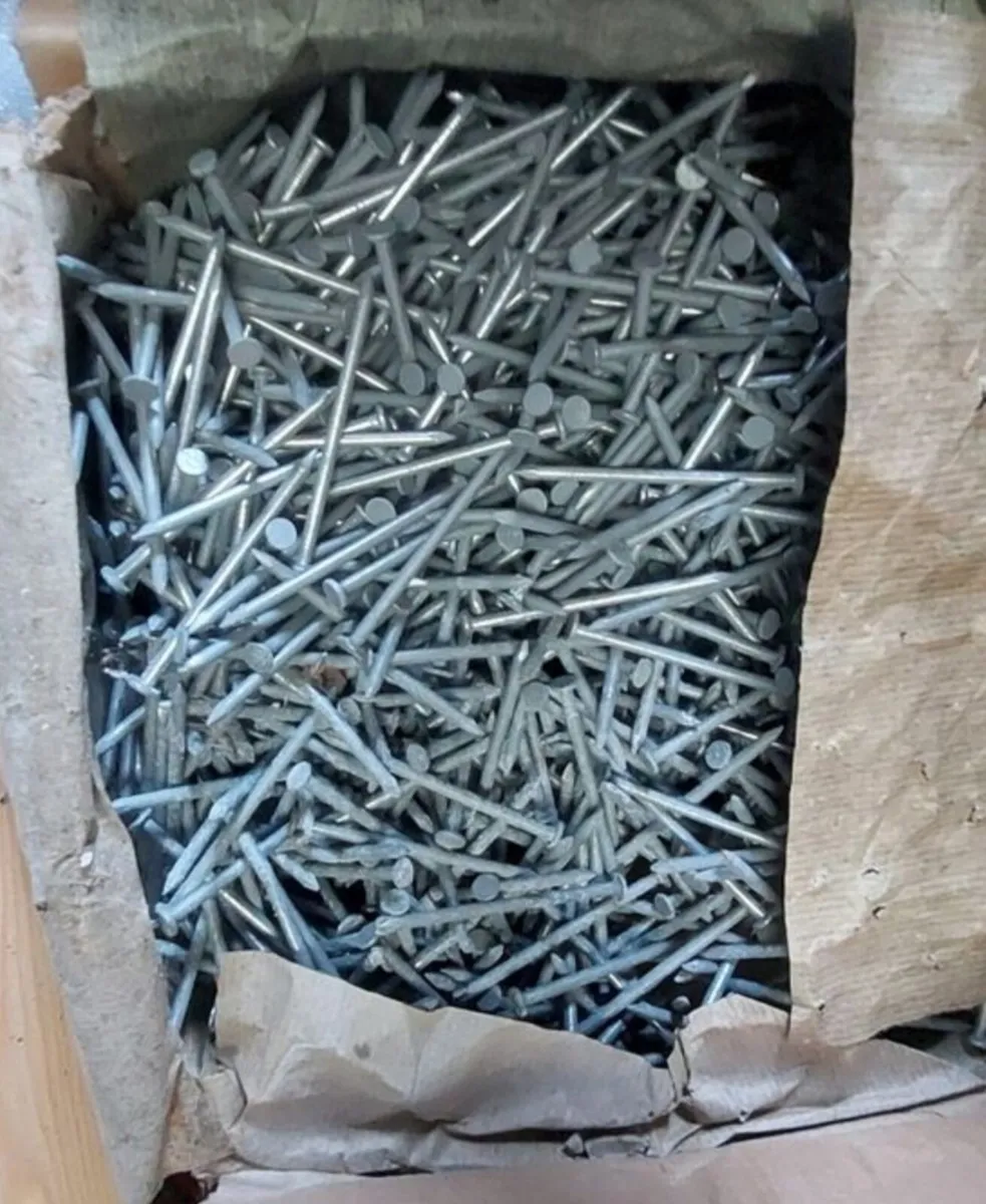Galvanised Nails