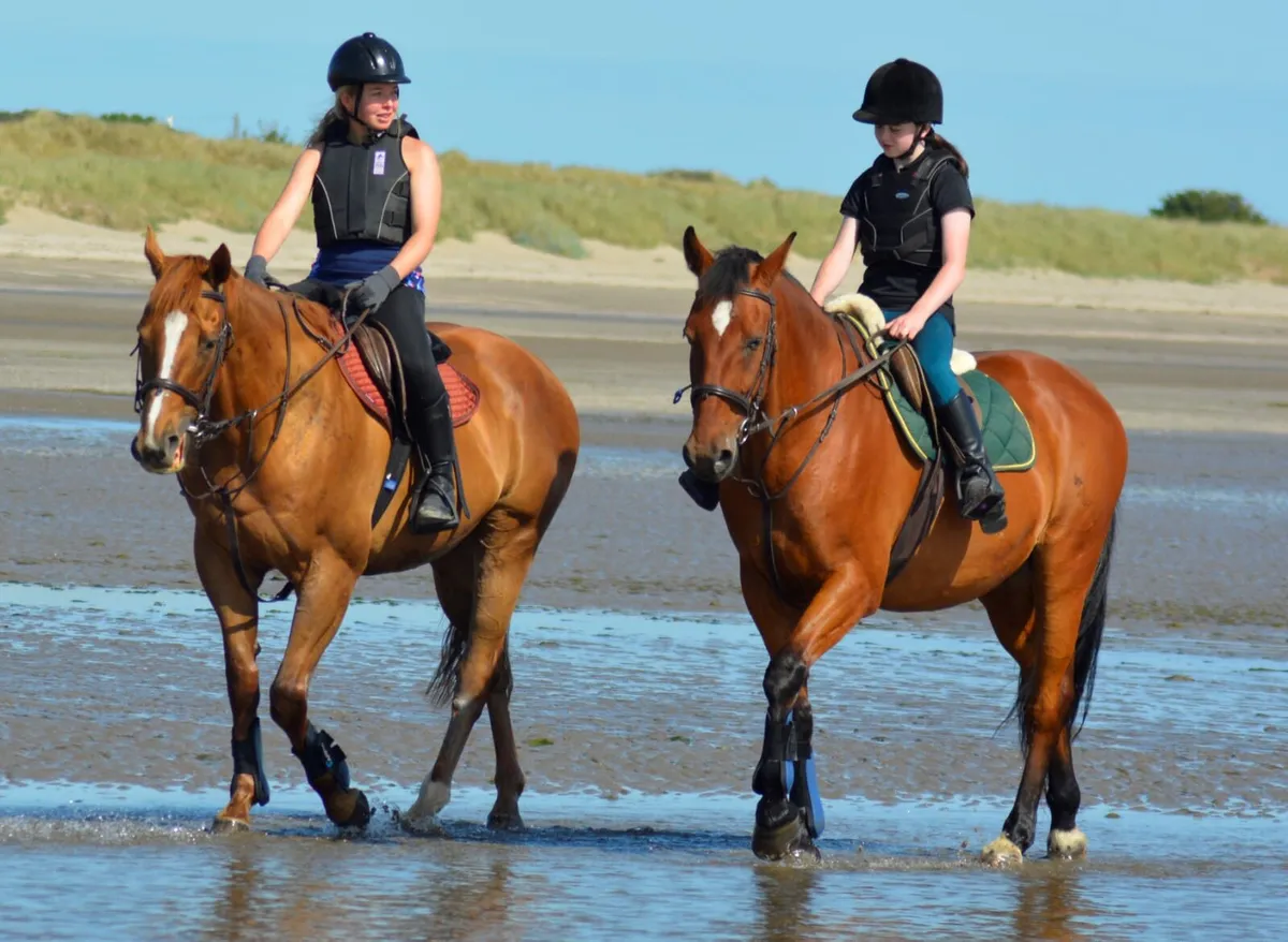 Grass Livery - Image 1