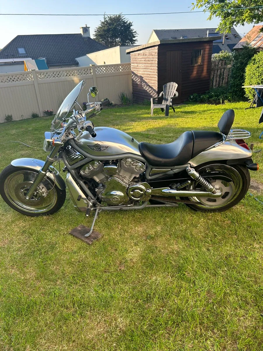 Harley-Davidson V-rod 2003 - Image 3