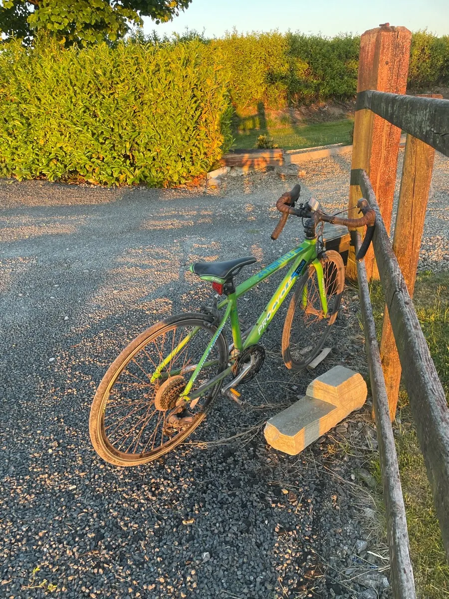 Racer bike - Image 3