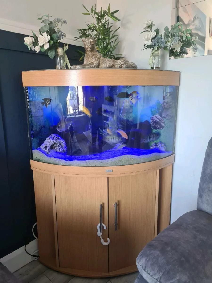 190litre fish tank - Image 1