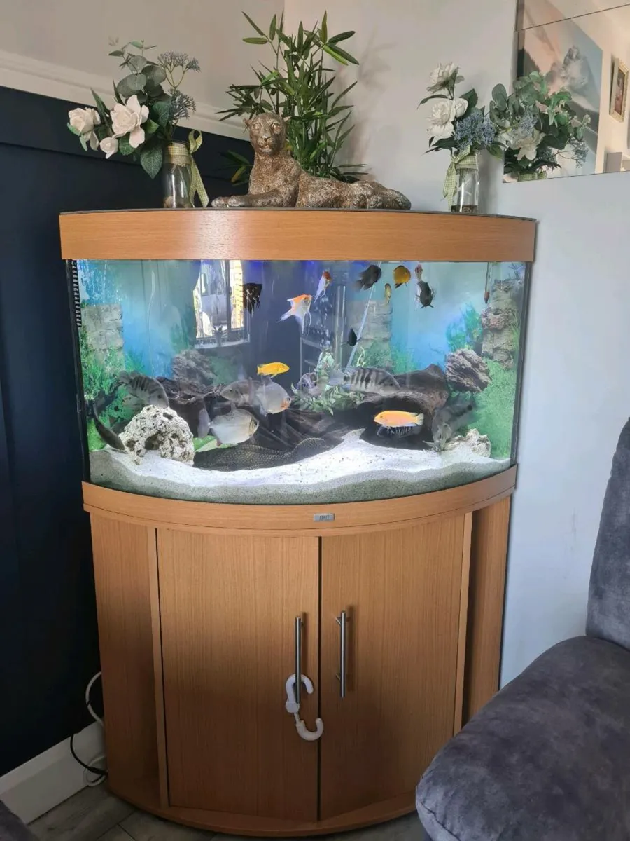 190litre fish tank - Image 2