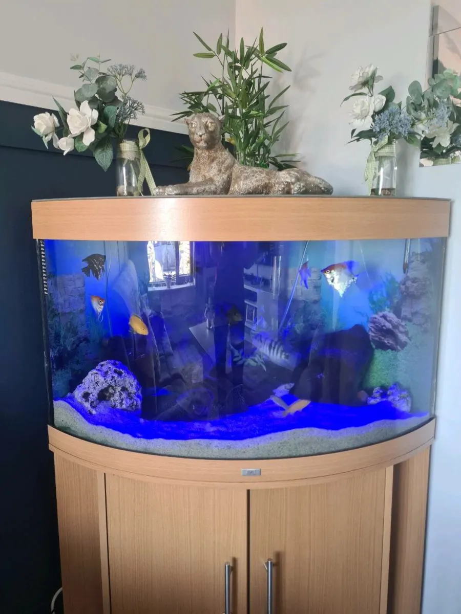 190litre fish tank - Image 3