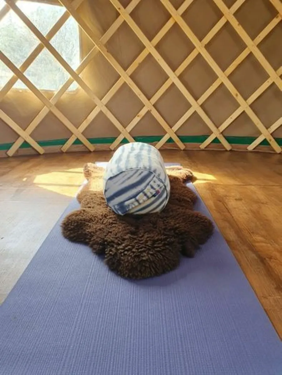 16Ft Yurt for sale - Image 4
