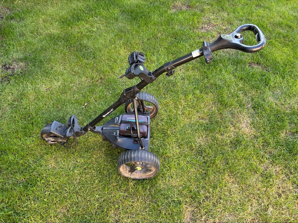 Electric golf buggy - Image 1