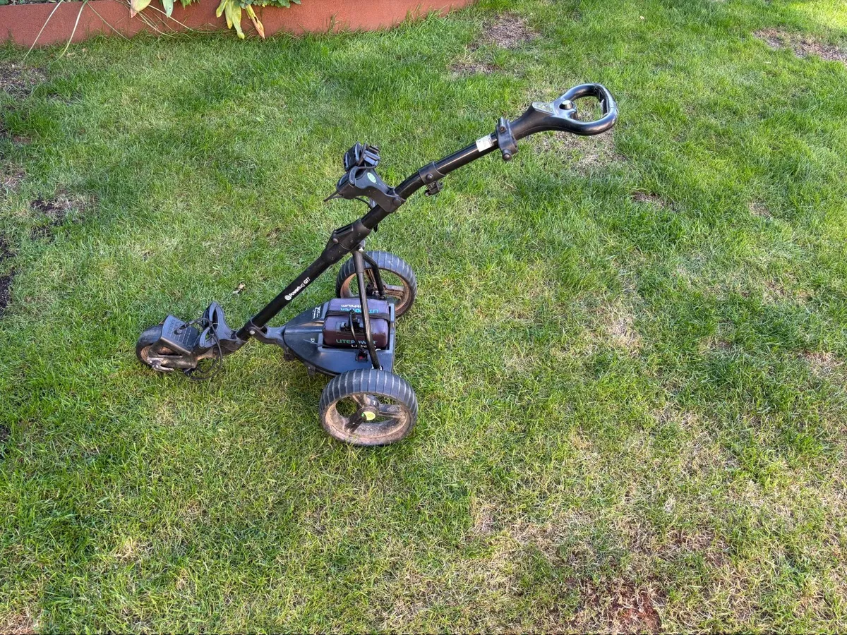 Electric golf buggy - Image 2