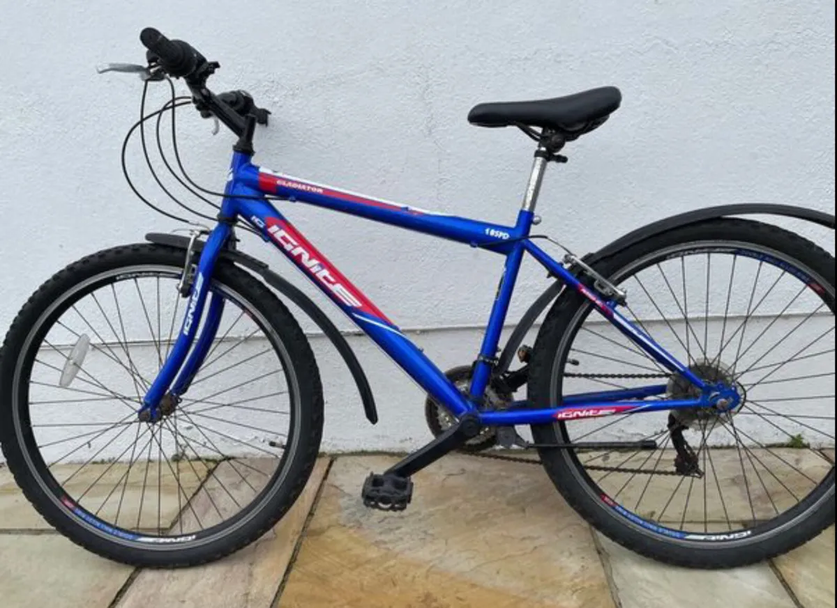 Gladiator Ignite 18” mountain bike