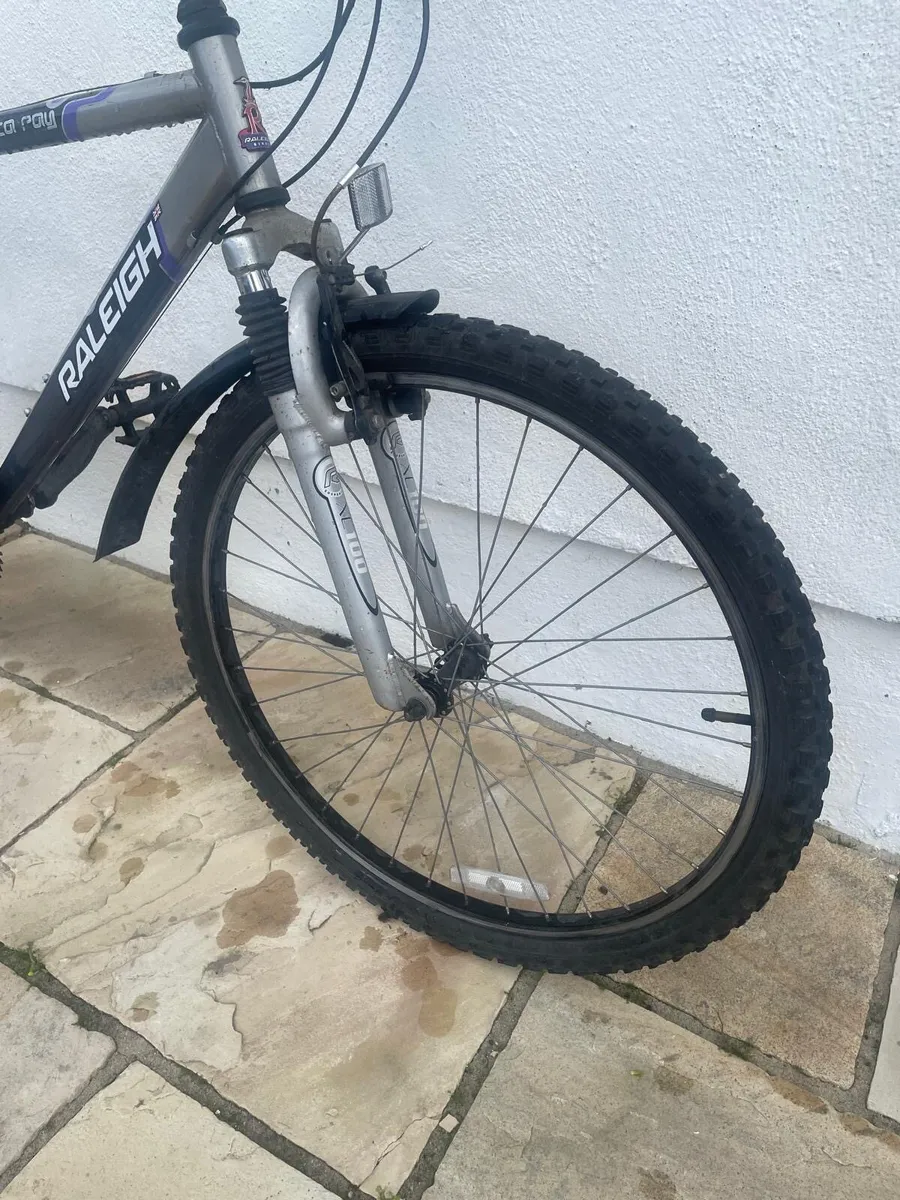Raleigh Manta Ray mountain bike - Image 2
