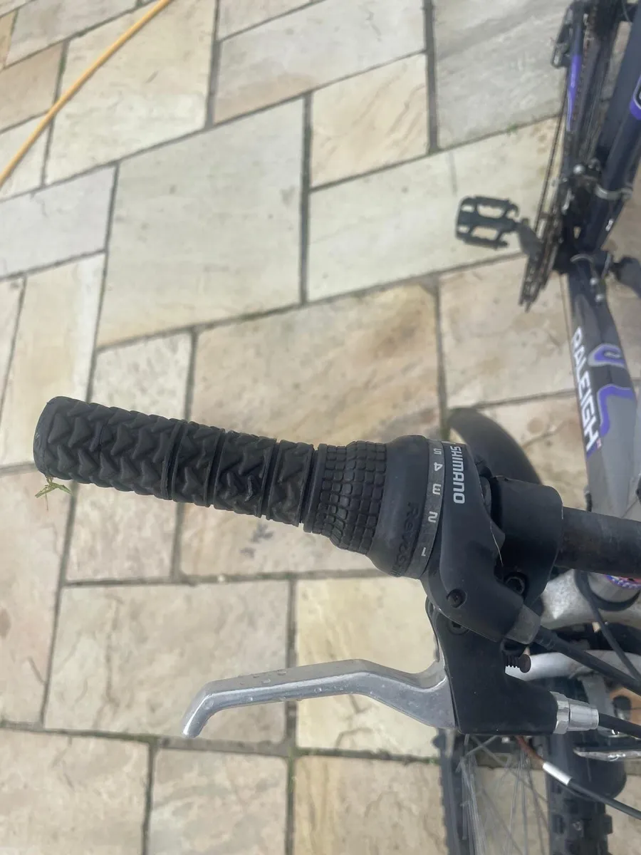Raleigh Manta Ray mountain bike - Image 3